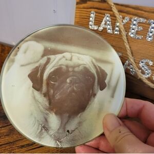 John Derian decoupage Pug Dog glass plate- Brown